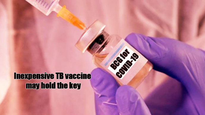 BCG TB vaccine to fight COVID-19