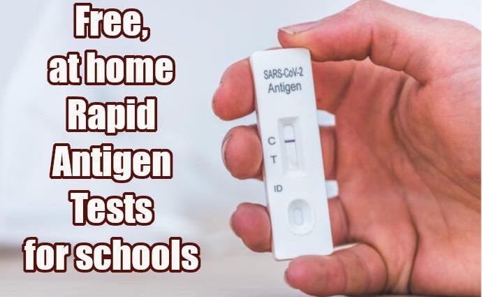 Free, at home Rapid Antigen Tests for schools