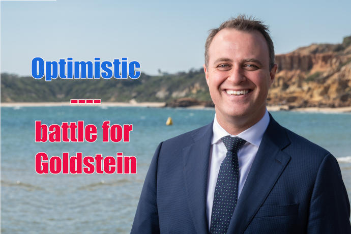 Tim Wilson Battle for Goldstein
