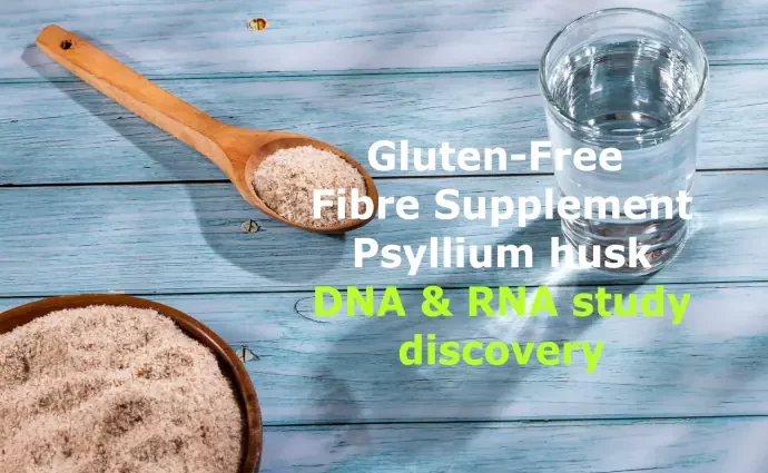 Gluten Free -Psyllium-research breakthrough