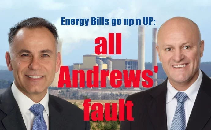 John Pesutto David Hodgett Energy Bills Woes Victoria